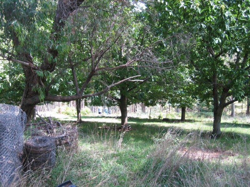 574 Firebrace Track, Granya VIC 3701