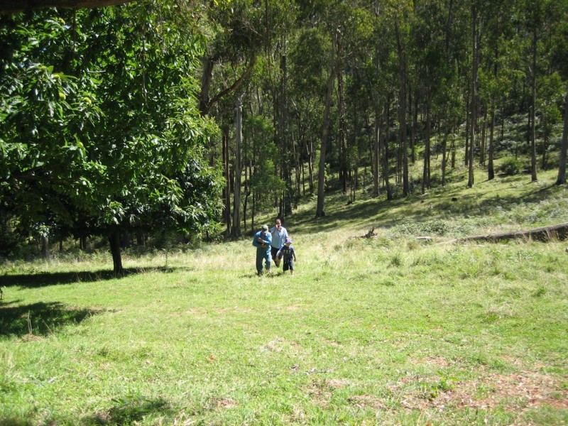 574 Firebrace Track, Granya VIC 3701