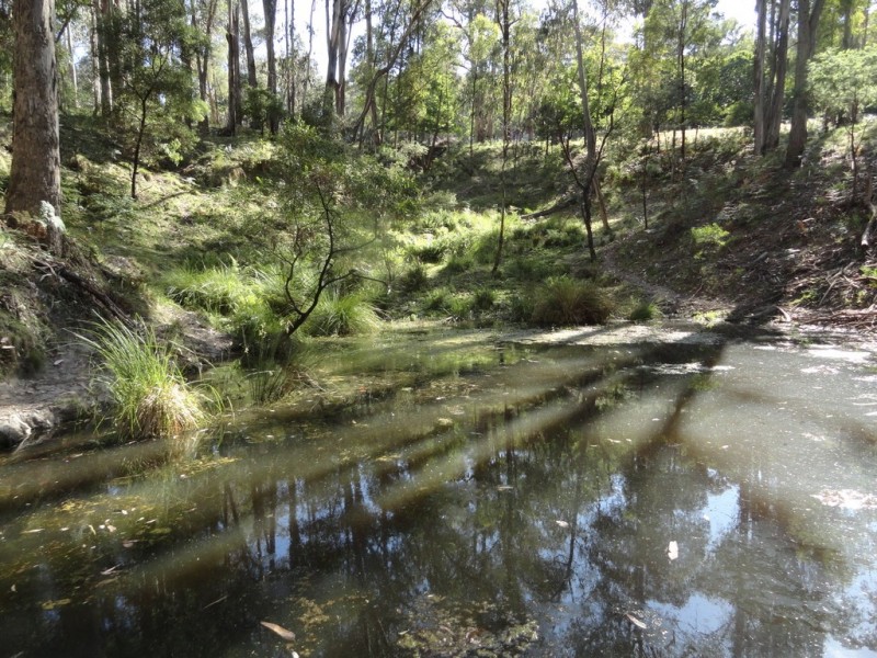 574 Firebrace Track, Granya VIC 3701