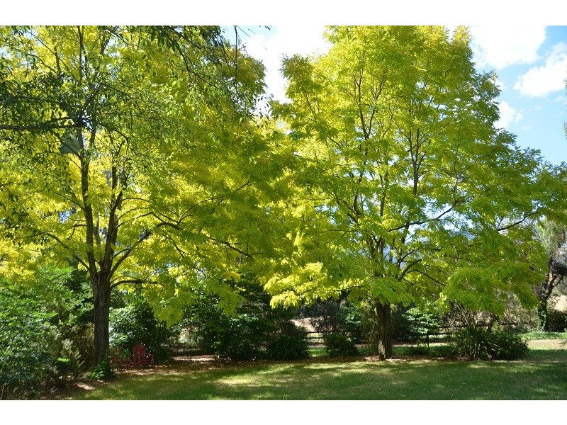 32 Cottrells Lane, Tawonga VIC 3697