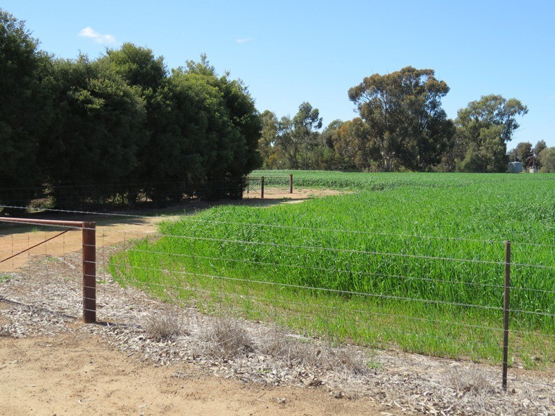 21380 Riverina Highway, Deniliquin NSW 2710