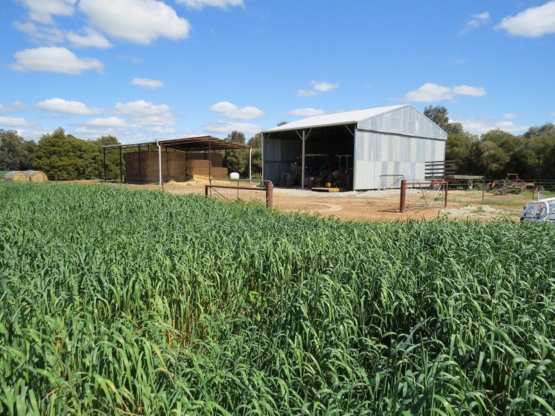 21380 Riverina Highway, Deniliquin NSW 2710