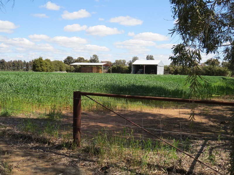 21380 Riverina Highway, Deniliquin NSW 2710