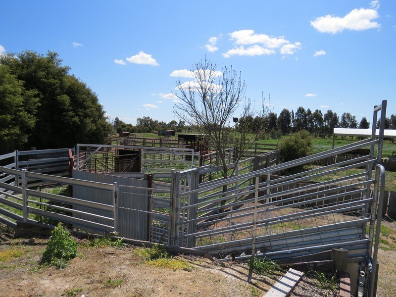 21380 Riverina Highway, Deniliquin NSW 2710