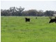 21380 Riverina Highway, Deniliquin NSW 2710