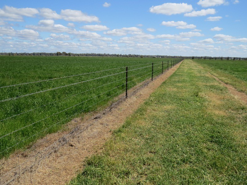 21380 Riverina Highway, Deniliquin NSW 2710