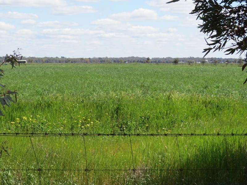 21380 Riverina Highway, Deniliquin NSW 2710