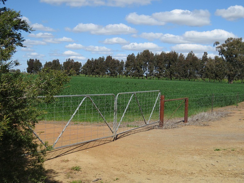 21380 Riverina Highway, Deniliquin NSW 2710