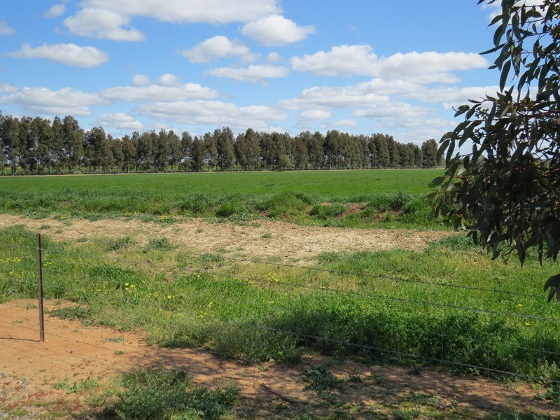 21380 Riverina Highway, Deniliquin NSW 2710