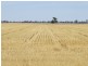 178 Bull Plain Road, Mulwala NSW 2647