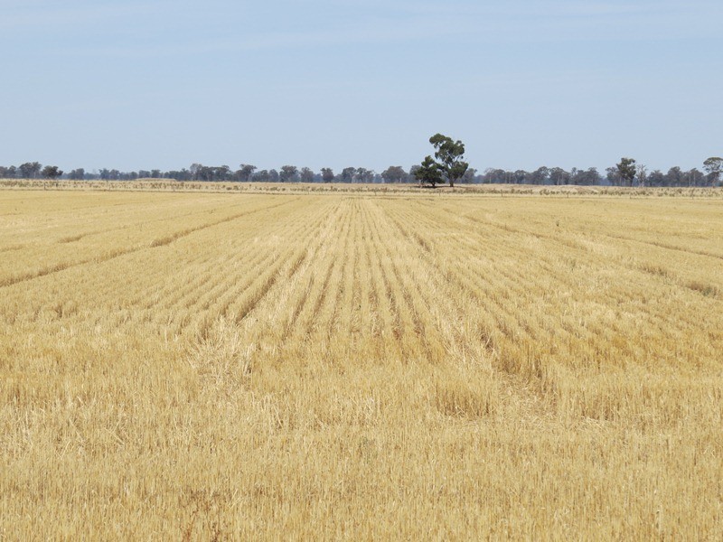 178 Bull Plain Road, Mulwala NSW 2647