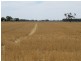 178 Bull Plain Road, Mulwala NSW 2647