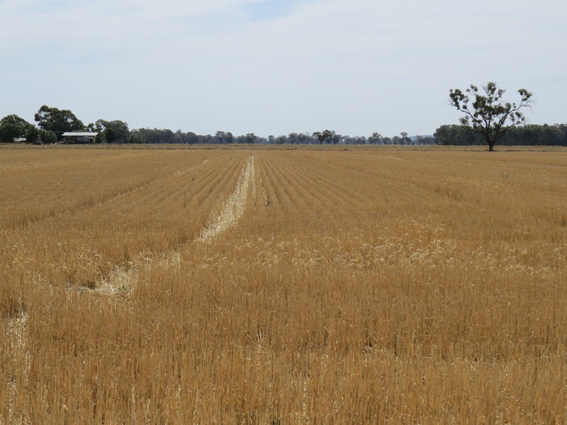 178 Bull Plain Road, Mulwala NSW 2647