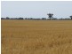 178 Bull Plain Road, Mulwala NSW 2647