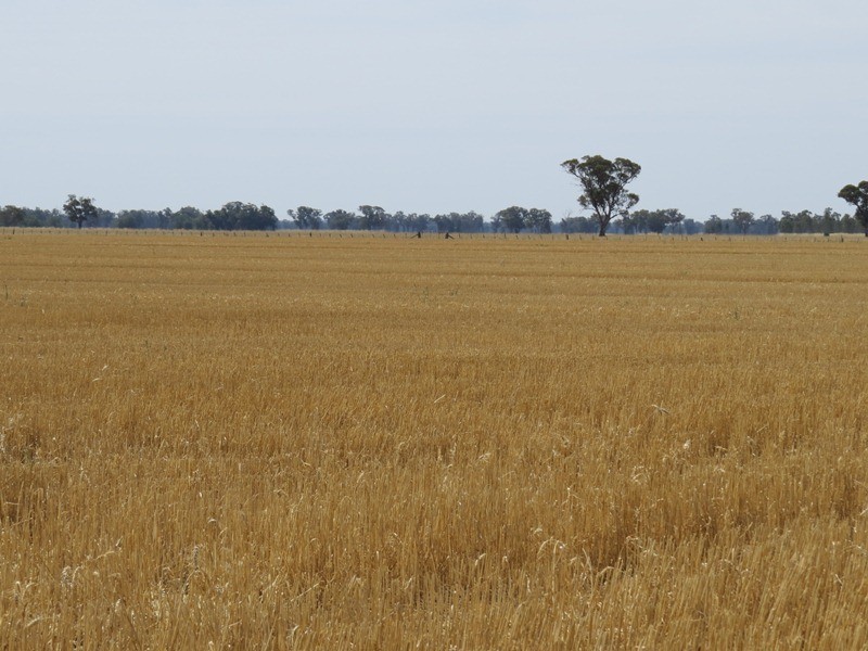 178 Bull Plain Road, Mulwala NSW 2647