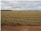 178 Bull Plain Road, Mulwala NSW 2647