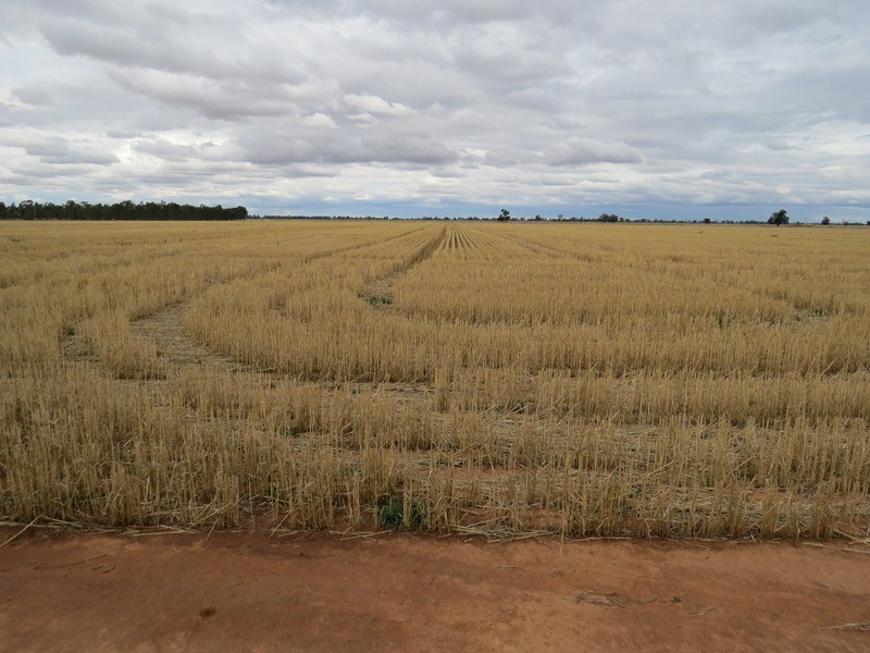 178 Bull Plain Road, Mulwala NSW 2647