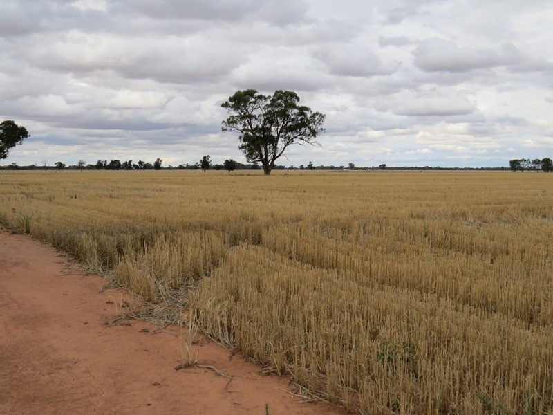 178 Bull Plain Road, Mulwala NSW 2647