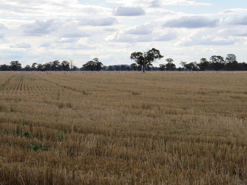 178 Bull Plain Road, Mulwala NSW 2647