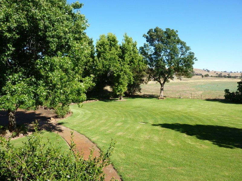 293 Cheviot Hills Rd,  Big Springs, Wagga Wagga NSW 2650