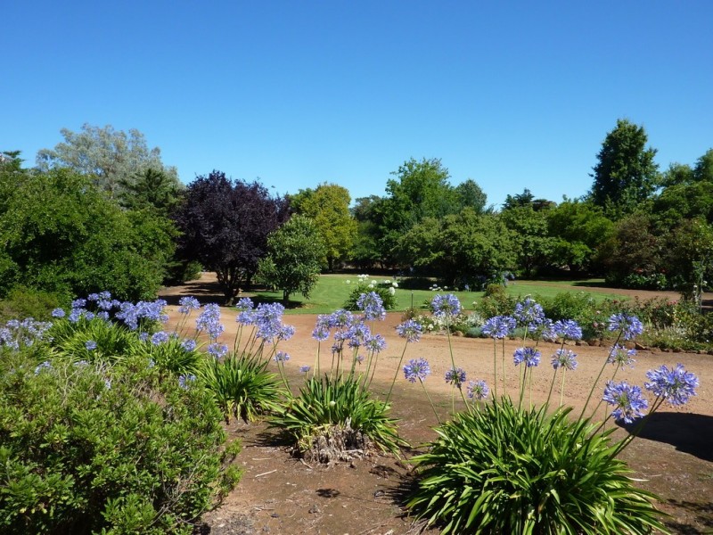 293 Cheviot Hills Rd,  Big Springs, Wagga Wagga NSW 2650