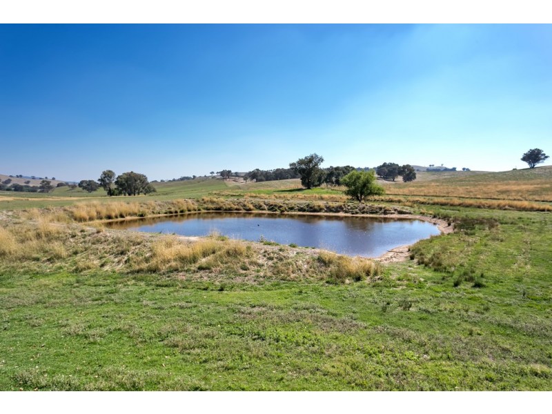293 Cheviot Hills Rd,  Big Springs, Wagga Wagga NSW 2650
