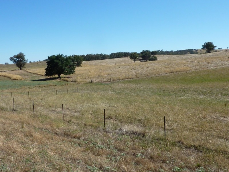 293 Cheviot Hills Rd,  Big Springs, Wagga Wagga NSW 2650