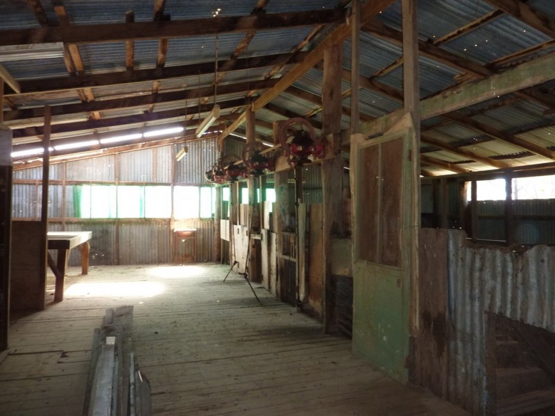 293 Cheviot Hills Rd,  Big Springs, Wagga Wagga NSW 2650