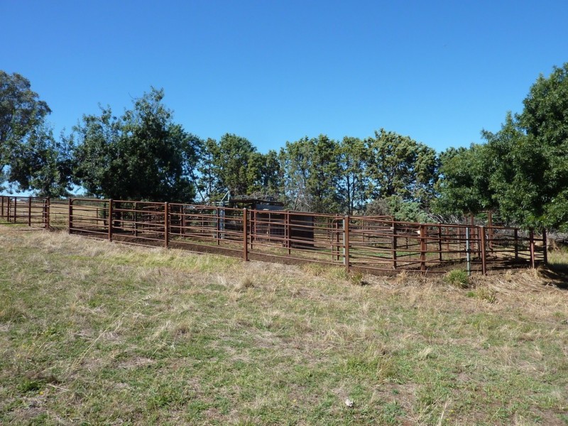 293 Cheviot Hills Rd,  Big Springs, Wagga Wagga NSW 2650