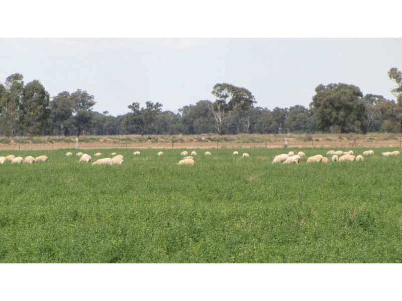 993 Hardings Road, Picola VIC 3639