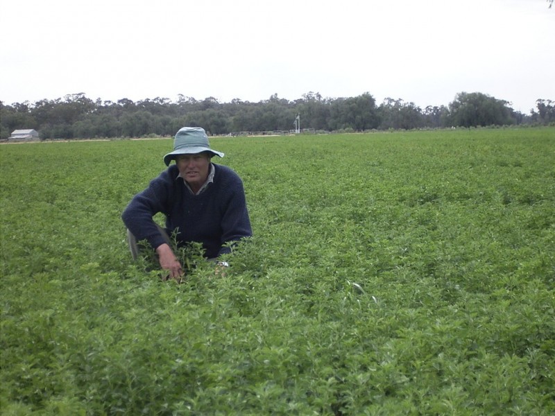 993 Hardings Road, Picola VIC 3639