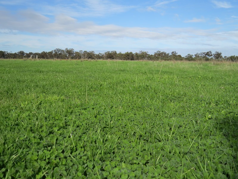 993 Hardings Road, Picola VIC 3639