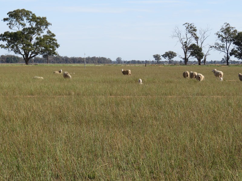 993 Hardings Road, Picola VIC 3639