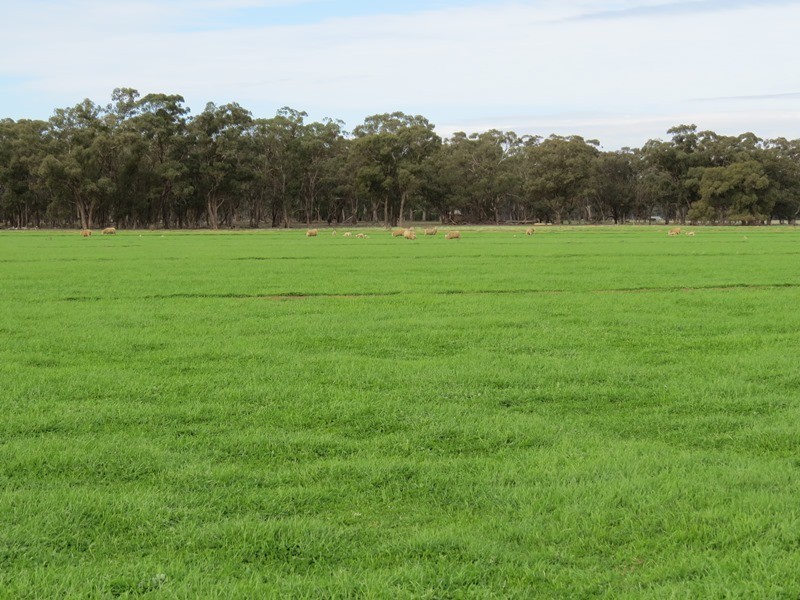 993 Hardings Road, Picola VIC 3639