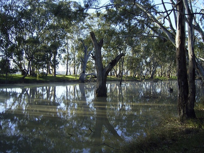 993 Hardings Road, Picola VIC 3639