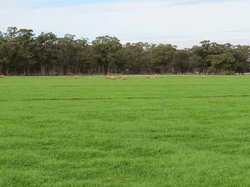 993 Hardings Road, Picola VIC 3639