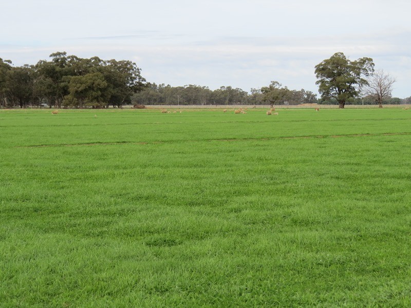 993 Hardings Road, Picola VIC 3639