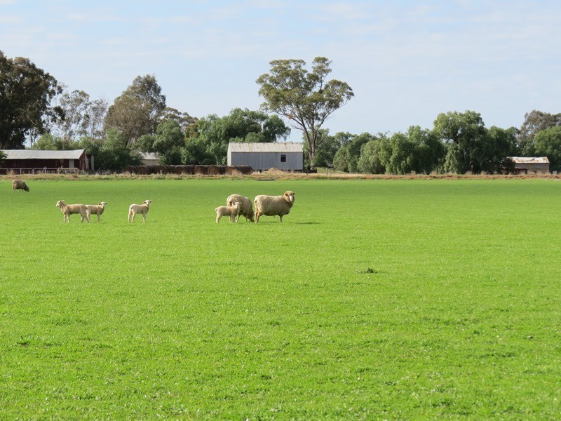 993 Hardings Road, Picola VIC 3639