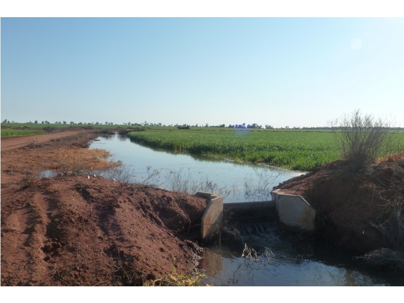 - BOREE DOWNS, Tabbita NSW 2652