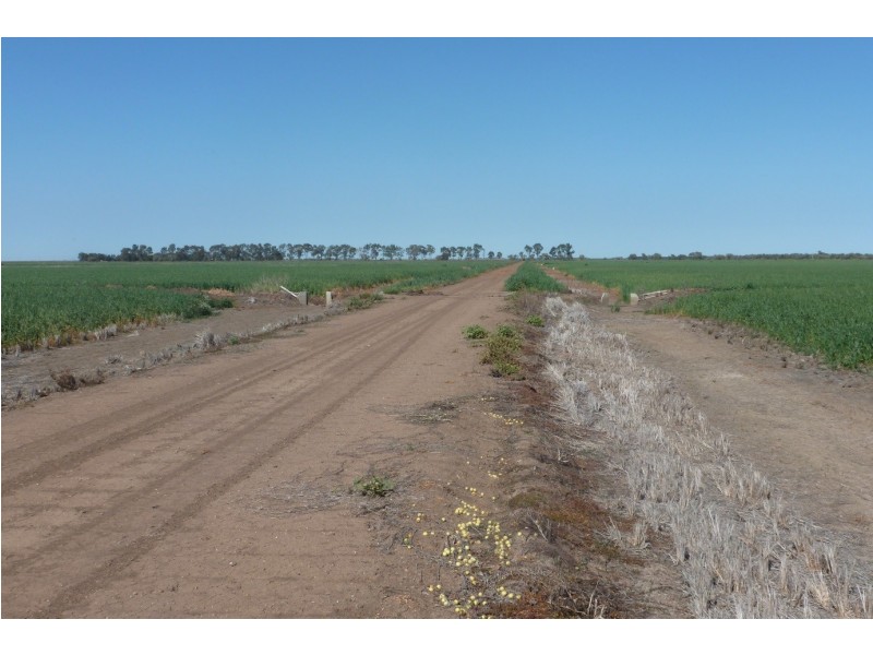 - BOREE DOWNS, Tabbita NSW 2652