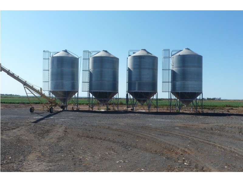 - BOREE DOWNS, Tabbita NSW 2652