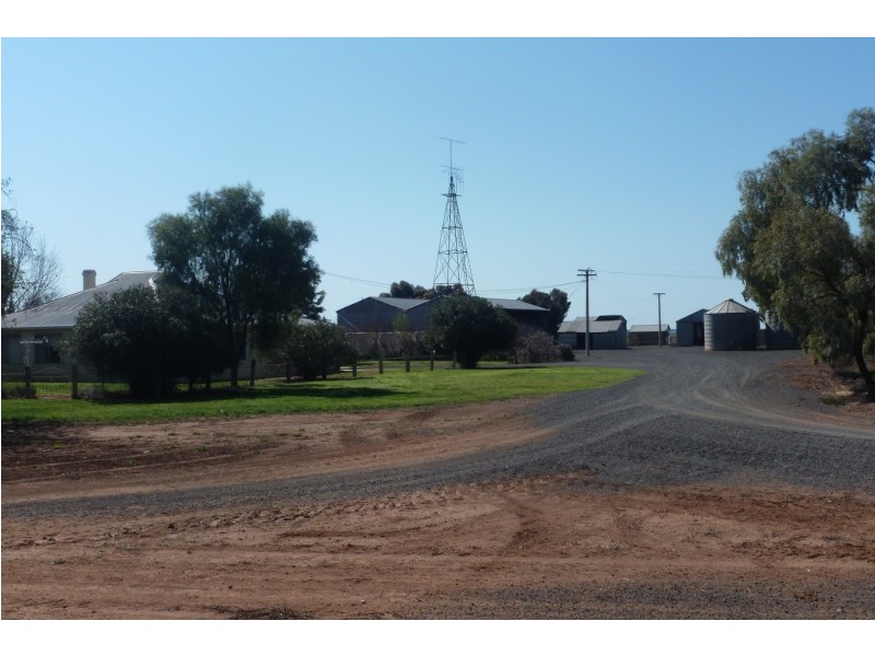 - BOREE DOWNS, Tabbita NSW 2652