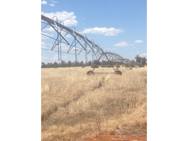 - BOREE DOWNS, Tabbita NSW 2652