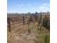 - BOREE DOWNS, Tabbita NSW 2652