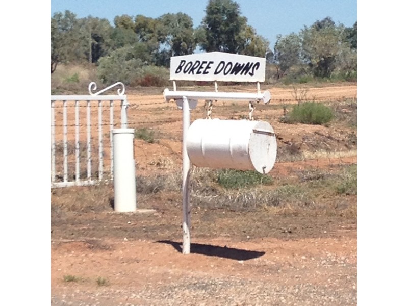 - BOREE DOWNS, Tabbita NSW 2652