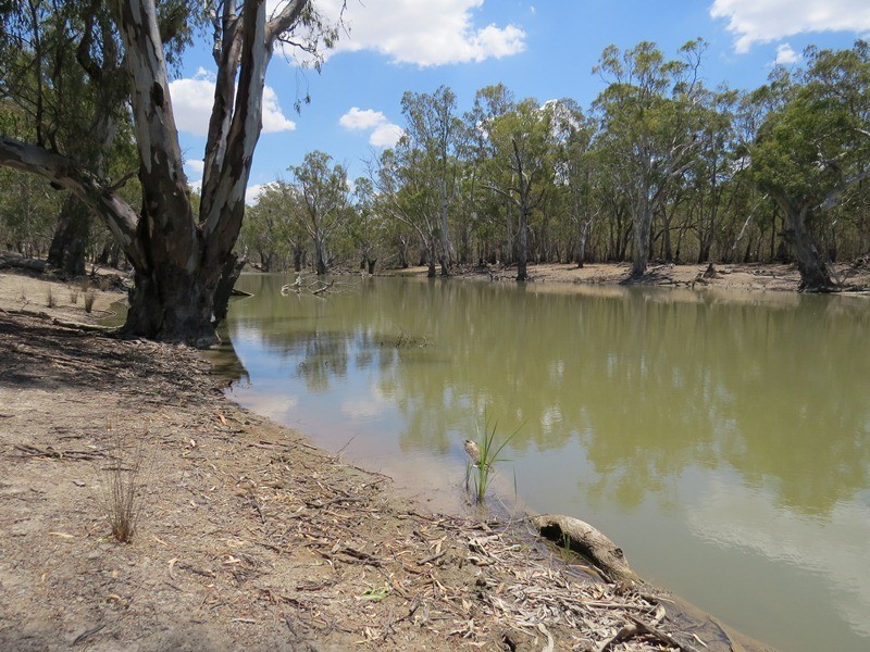 2738 CALIMO ROAD, Deniliquin NSW 2710