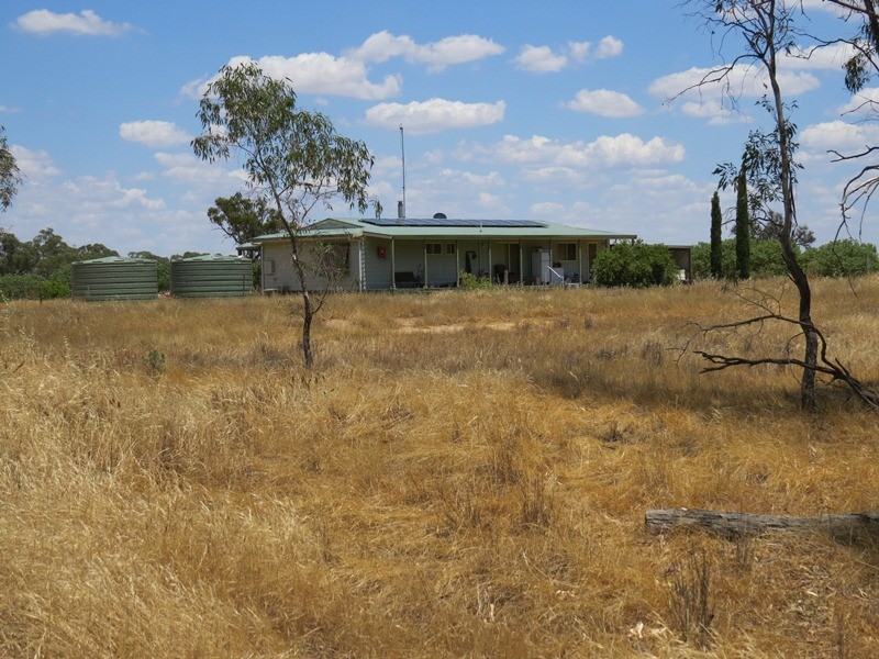 2738 CALIMO ROAD, Deniliquin NSW 2710