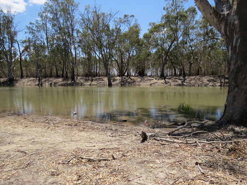 2738 CALIMO ROAD, Deniliquin NSW 2710