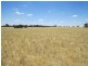 2738 CALIMO ROAD, Deniliquin NSW 2710