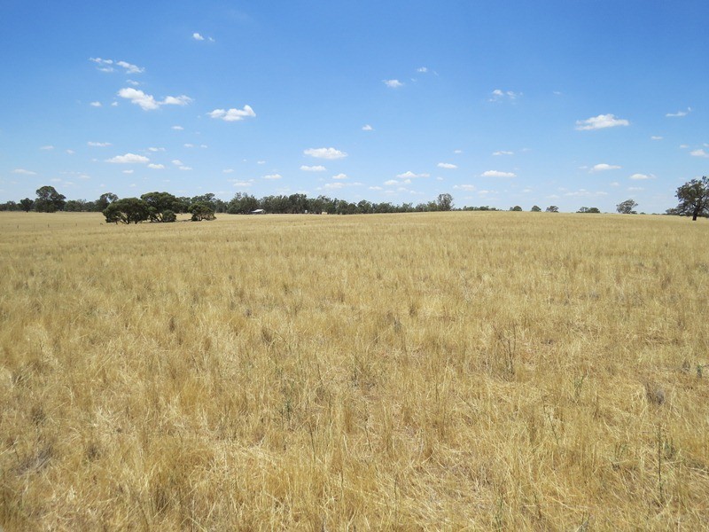 2738 CALIMO ROAD, Deniliquin NSW 2710